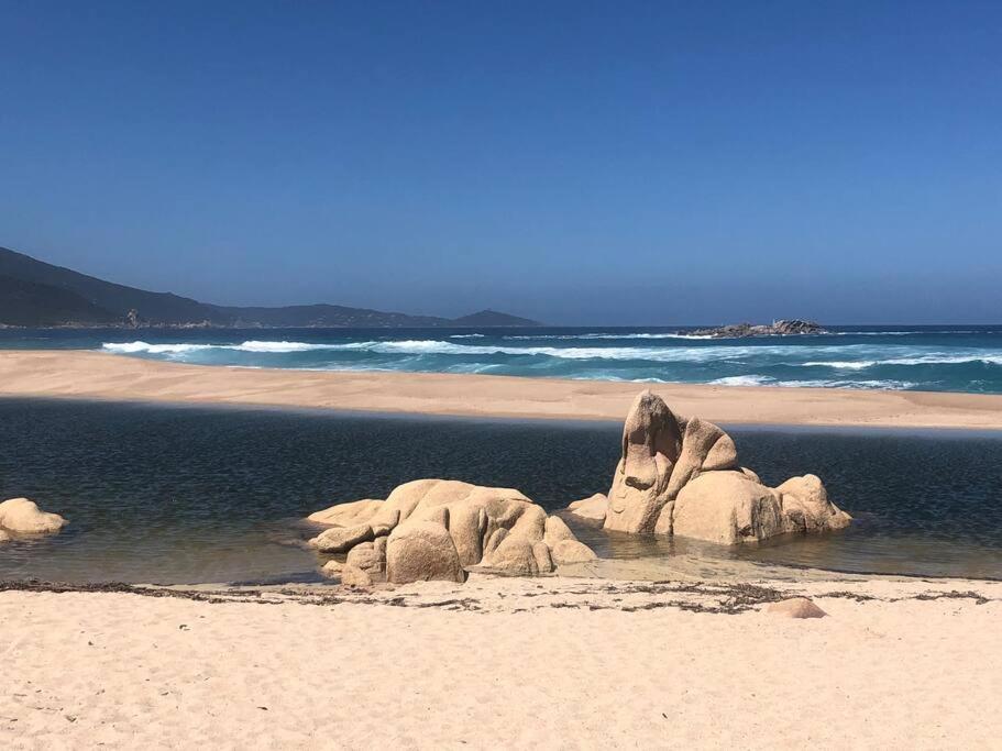 Appartement T2 Avec Piscine Aux Portes De La Plage De Cupabia Serra-di-Ferro  Extérieur photo