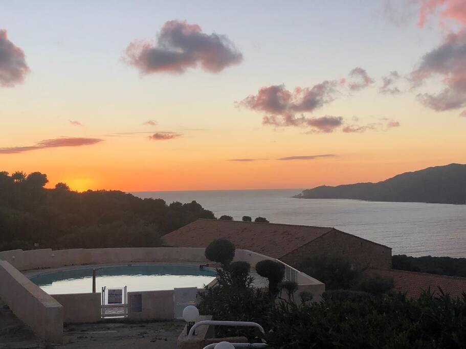 Appartement T2 Avec Piscine Aux Portes De La Plage De Cupabia Serra-di-Ferro  Extérieur photo