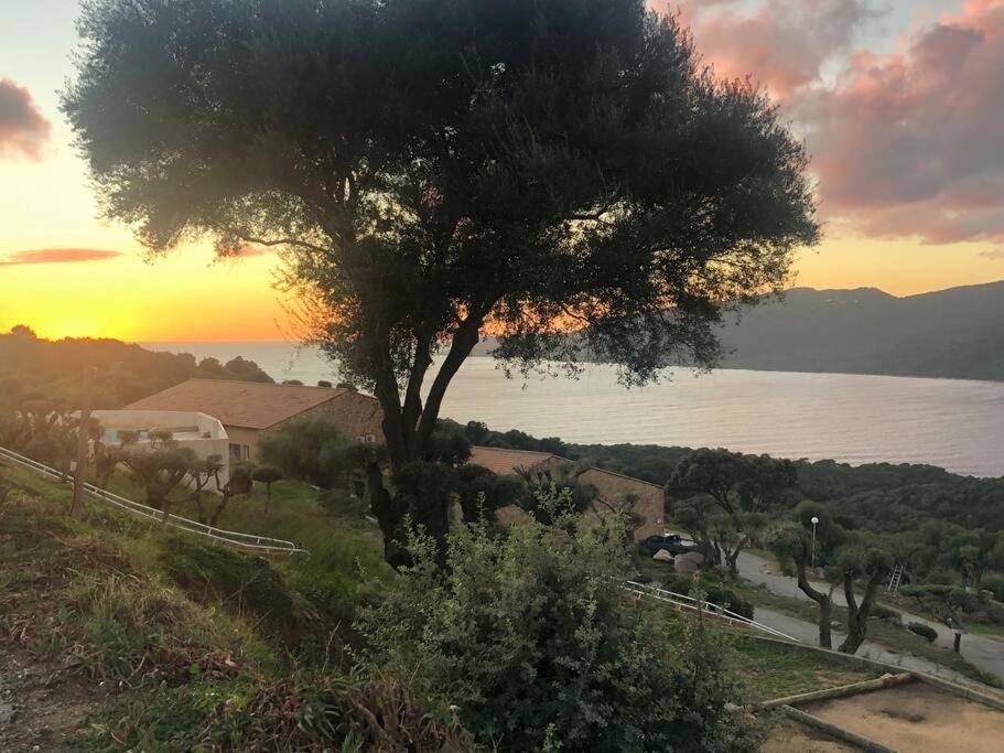 Appartement T2 Avec Piscine Aux Portes De La Plage De Cupabia Serra-di-Ferro  Extérieur photo